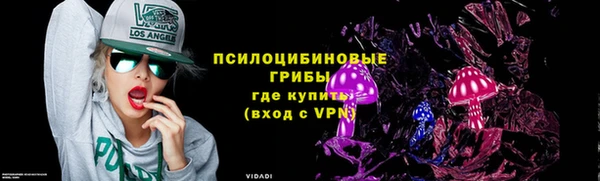 прущий лед Алексин
